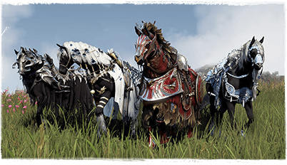 Choose Your Horse Gear Set Box