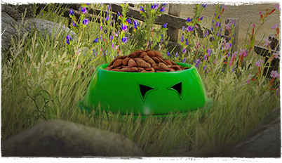 Kanpacho's Organic Feed x30