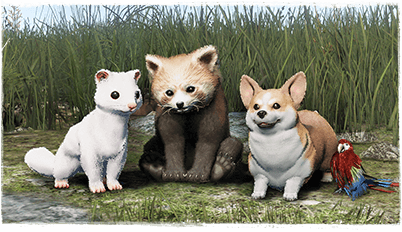 Choose Your Tier 3 Pet Box