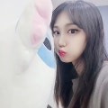 김하린